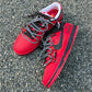 Nike dunk Red Rage